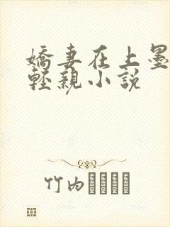 娇妻在上墨少轻轻亲小说