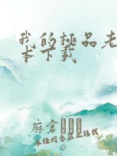 我的极品老婆全本下载