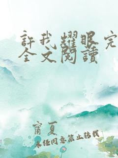 许我耀眼完整版全文阅读