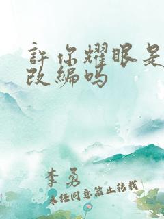 许你耀眼是小说改编吗