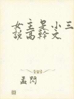 女主是小三的小说高干文