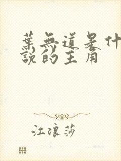 叶无道是什么小说的主角