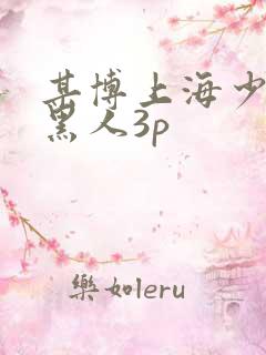 某博上海少妇与黑人3p