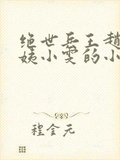 绝世兵王赵强芳姨小雯的小说