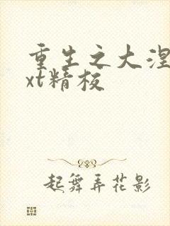 重生之大涅磐txt精校