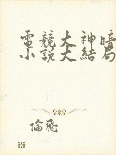 电竞大神暗恋我小说大结局