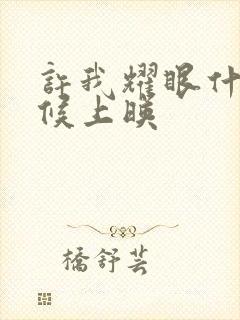 许我耀眼什么时候上映