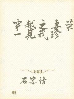 穿越之妻荣夫贵一见我珍