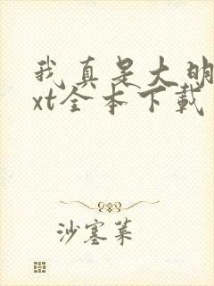 我真是大明星txt全本下载未删减版