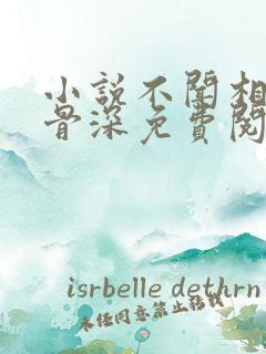 小说不闻相思入骨深免费阅读