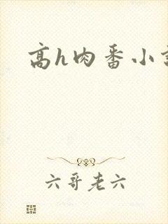 高h肉番小说