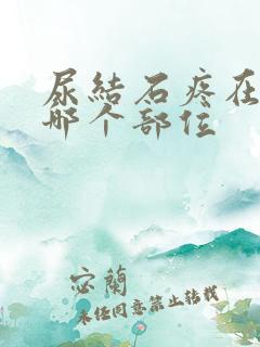 尿结石疼在身体哪个部位