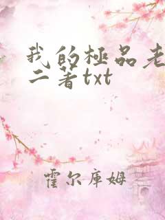 我的极品老婆小二著txt
