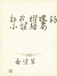 许我耀眼的原著小说结局