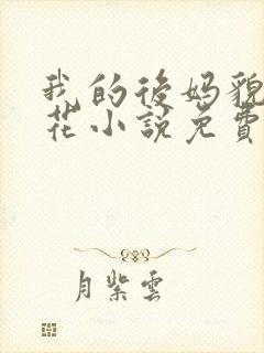 我的后妈貌美如花小说免费看