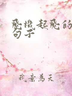 飞机起飞的唯美句子