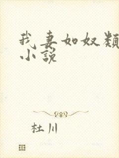 我妻如奴类似的小说