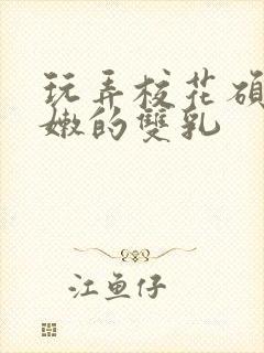 玩弄校花硕大白嫩的双乳