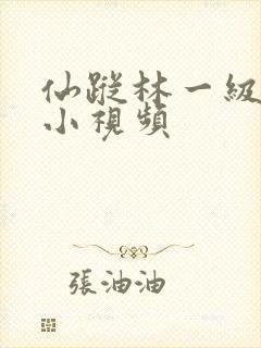 仙踪林一级黄色小视频