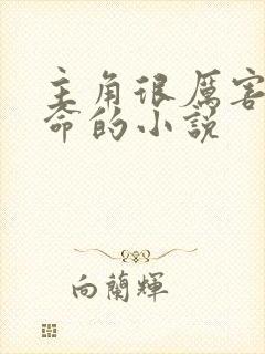 主角很厉害会算命的小说