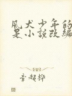 风犬少年的天空是小说改编的吗