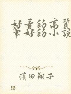 好看的高质量文笔好的小说