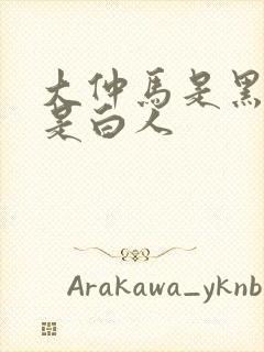 大仲马是黑人还是白人