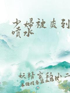 少妇被爽到高潮喷水