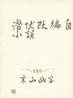 潜伏改编自哪部小说