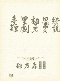 梦里相思终随风短剧免费观看全集高清