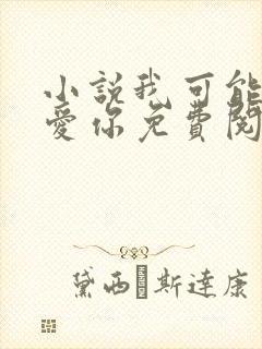 小说我可能不会爱你免费阅读