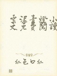 云泥青灯小说全文免费阅读无弹窗