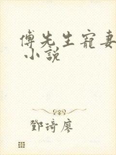 傅先生宠妻无度 小说