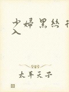 少妇 黑丝 后入