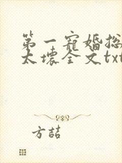 第一宠婚总裁别太坏全文txt