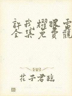 许我耀眼电视剧全集免费观看高清