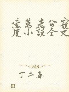 亿万老公宠妻无度小说全文