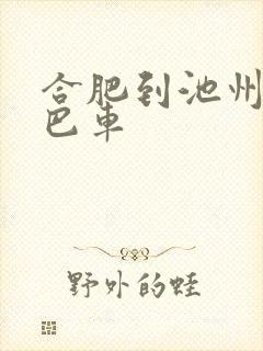 合肥到池州的大巴车