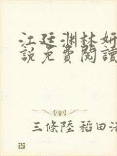 江廷渊林妍的小说免费阅读全文