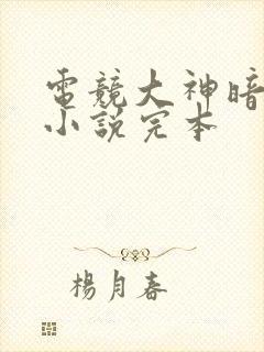 电竞大神暗恋我小说完本