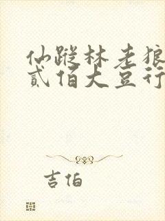 仙踪林老狼信息贰佰大豆行情