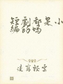 短剧都是小说改编的吗