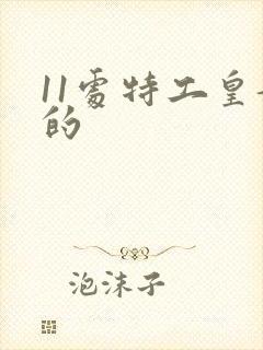 11处特工皇妃的