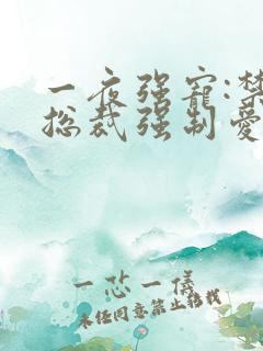 一夜强宠:禁欲总裁强制爱