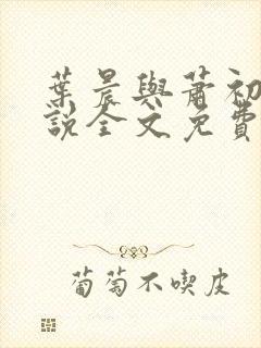 叶晨与萧初然小说全文免费阅读