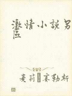 激情小说另类一区