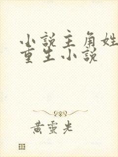 小说主角姓洛的重生小说