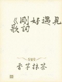 《刚好遇见你》歌词