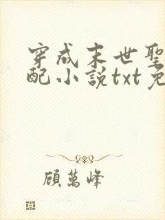 穿成末世圣母女配小说txt免费下载