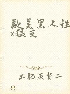 欧美黑人性xxx猛交